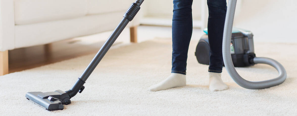 removing pet hair from the carpet