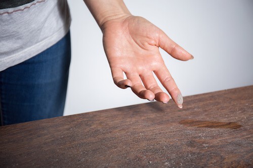 dust and dander on table