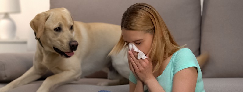 pet dander allergy symptoms